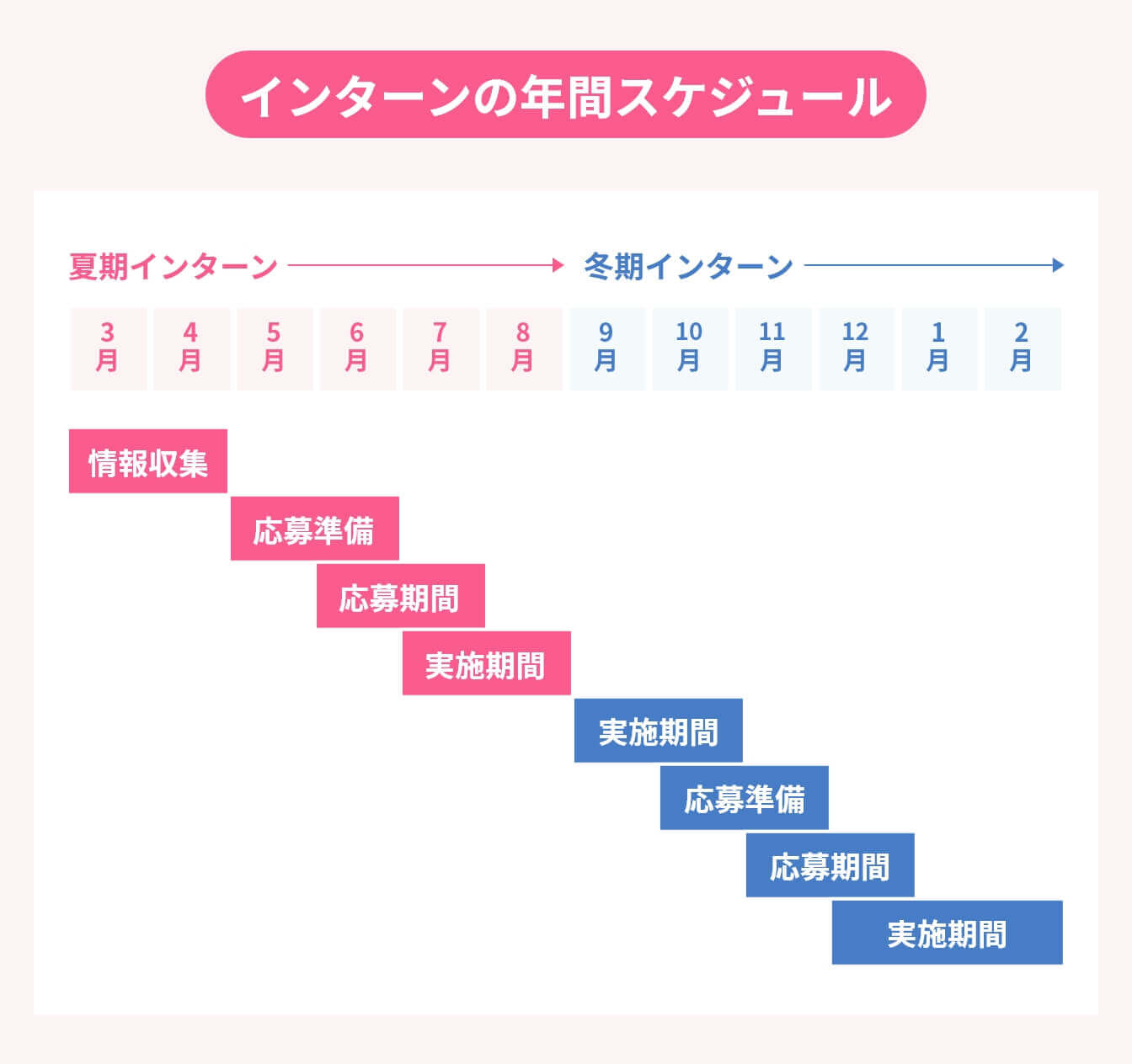 インターンの年間スケジュール